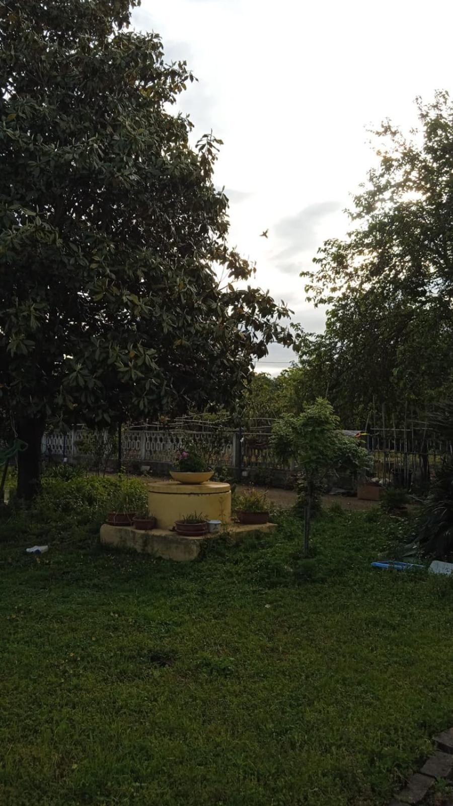 Casina Maria Apartment Rome Luaran gambar