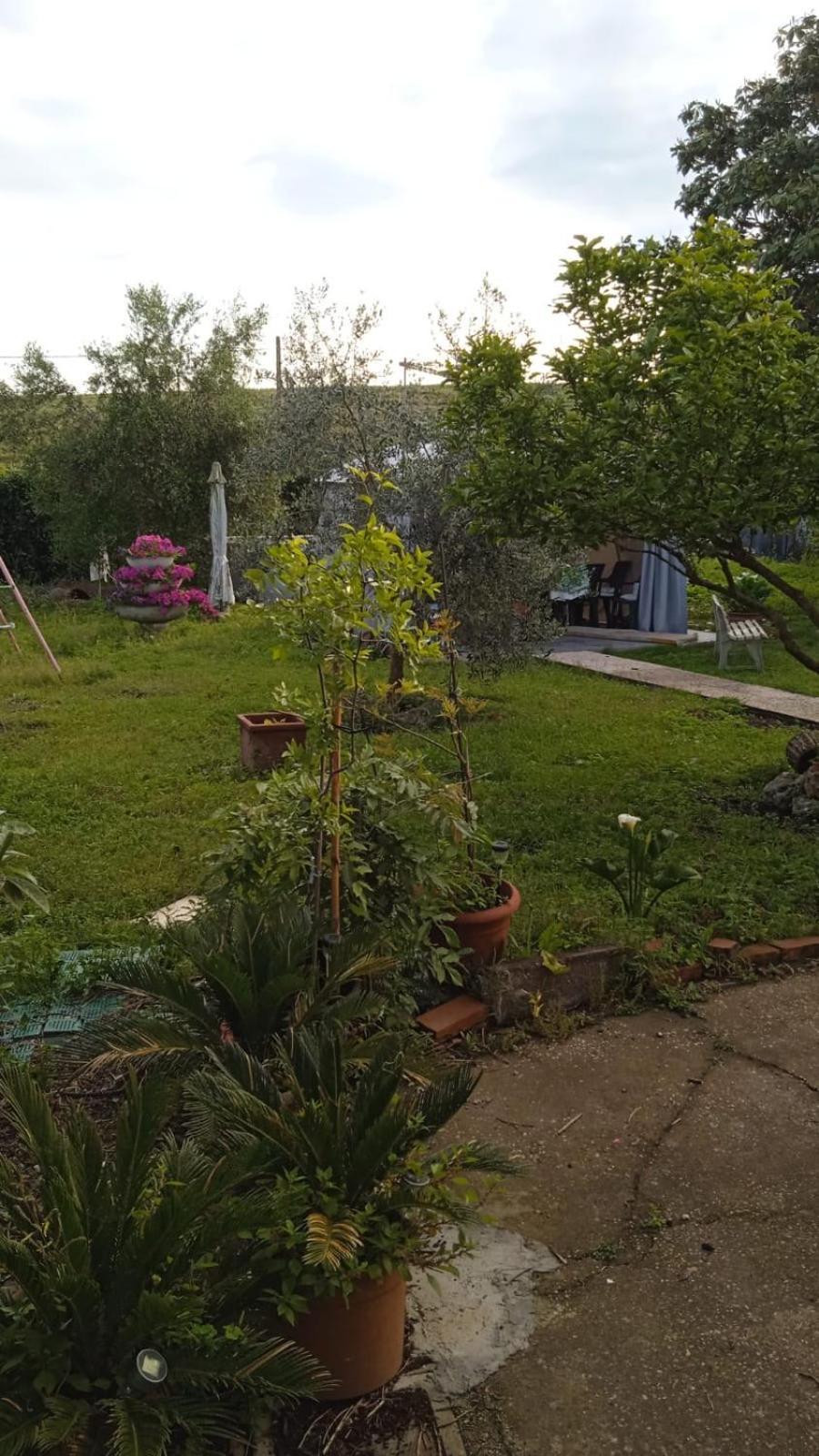 Casina Maria Apartment Rome Luaran gambar